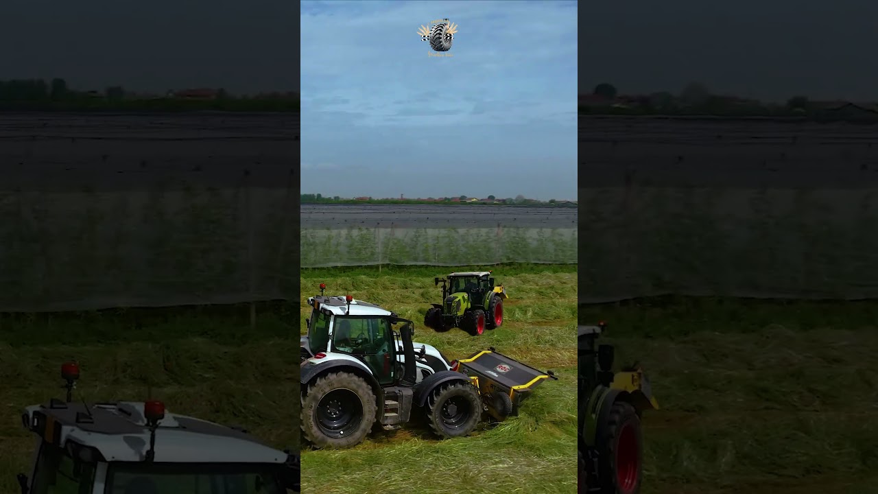 GIRL ON TRACTOR 🚜 Carlotta con Valtra N & Claas Arion 440 | Andanatura spettacolare con 2x ROC
