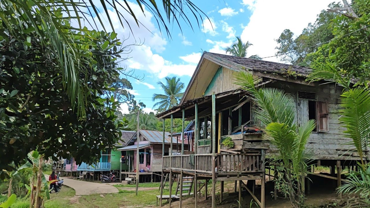 Kehidupan Kampung Dayak Pedalaman Kalimantan Yang Sepi Ditinggalkan.Dayak Dusun Malang, Teluk Mayang