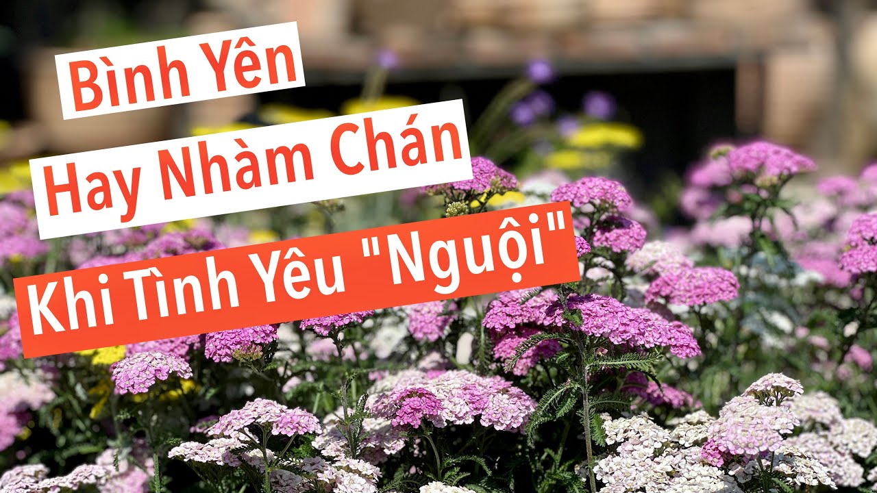 Khi Tình Yêu 
