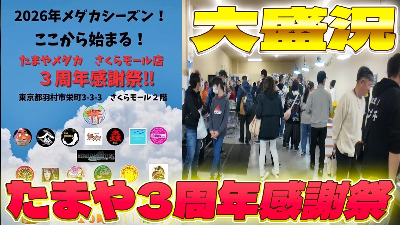フィシュモン突撃！たまやメダカさくらモール店3周年感謝祭！大盛況！