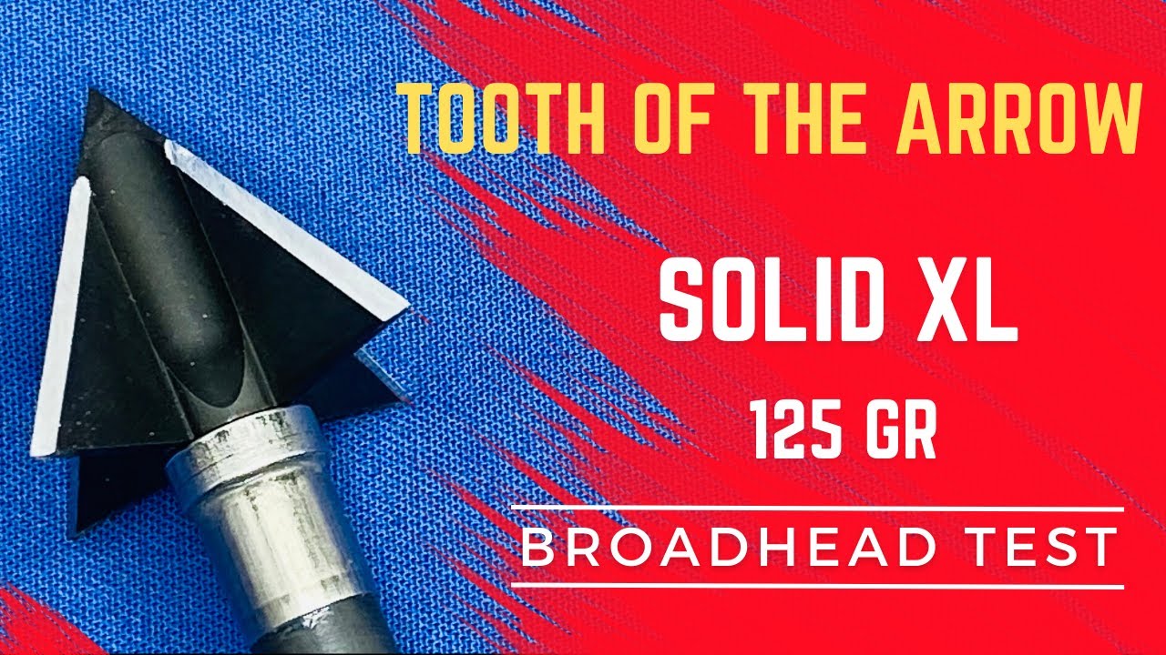 Тест на стрелу TOOTH of the ARROW XL SOLID 125 гр Broadhead — один из лучших в 2022 году