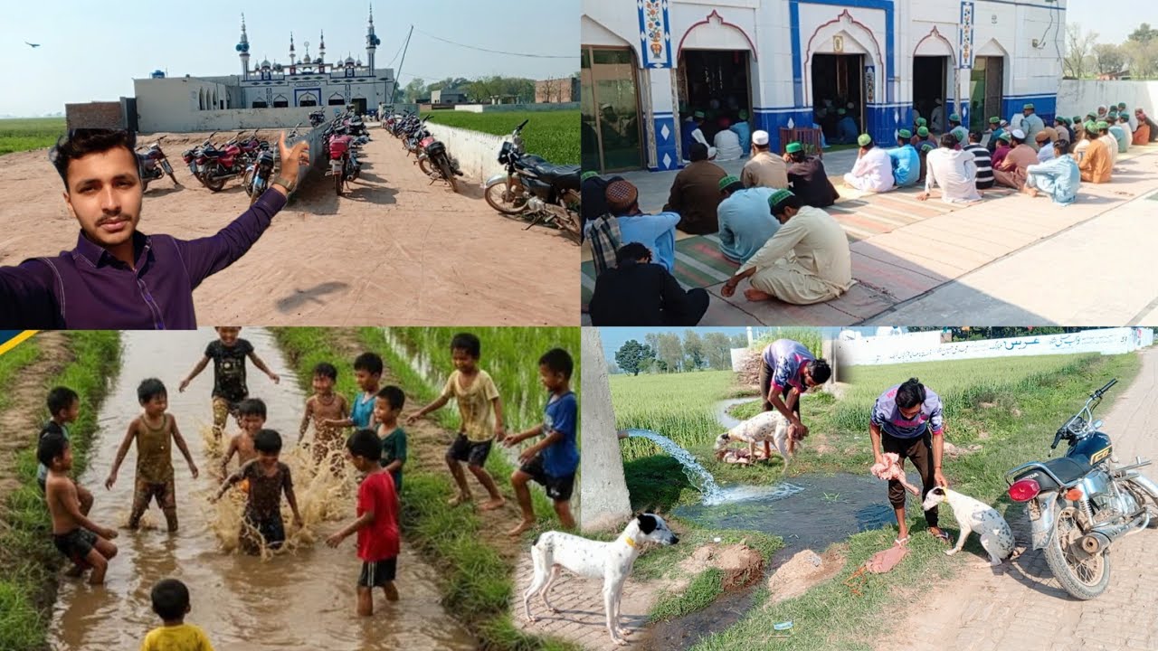 Dog Ko Nehla Diya Shok Ka Koi mul nahi / Kamran Village Vlog 🤩