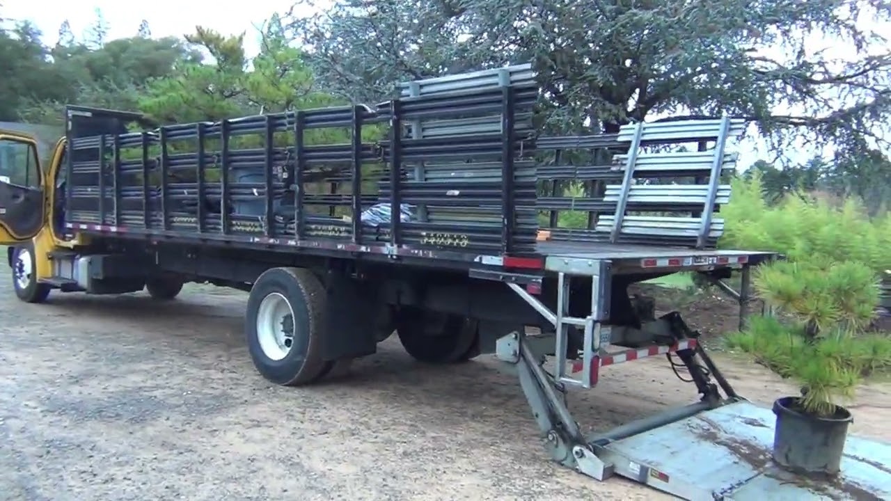 Японская красная сосна в Сан-Диего, Японский сад Дружбы, Осень 2025