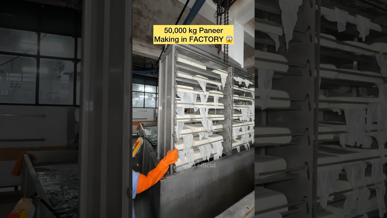 50,000 kg paneer making in FACTORY 😱😍 #shorts #explore #trending #viral @Swadofficial
