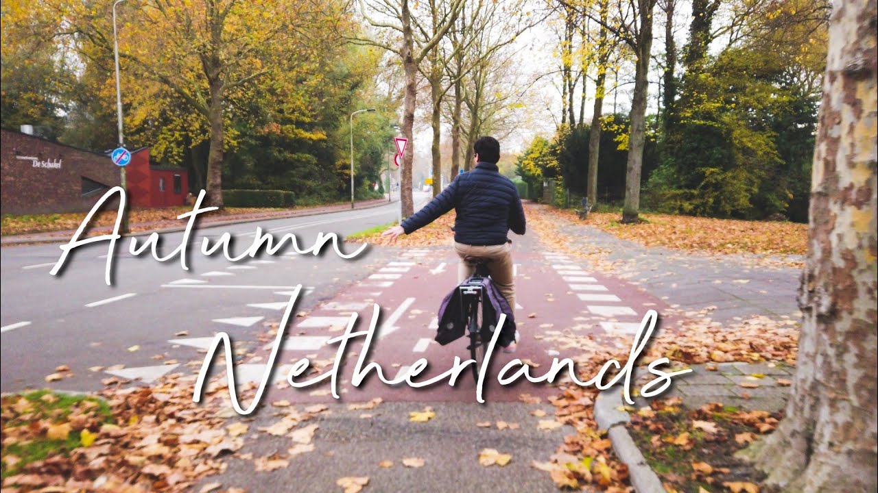 [4K] Netherlands Bike Tour in Autumn 🇳🇱 Delft | Things To Do in The Netherlands During Autumn