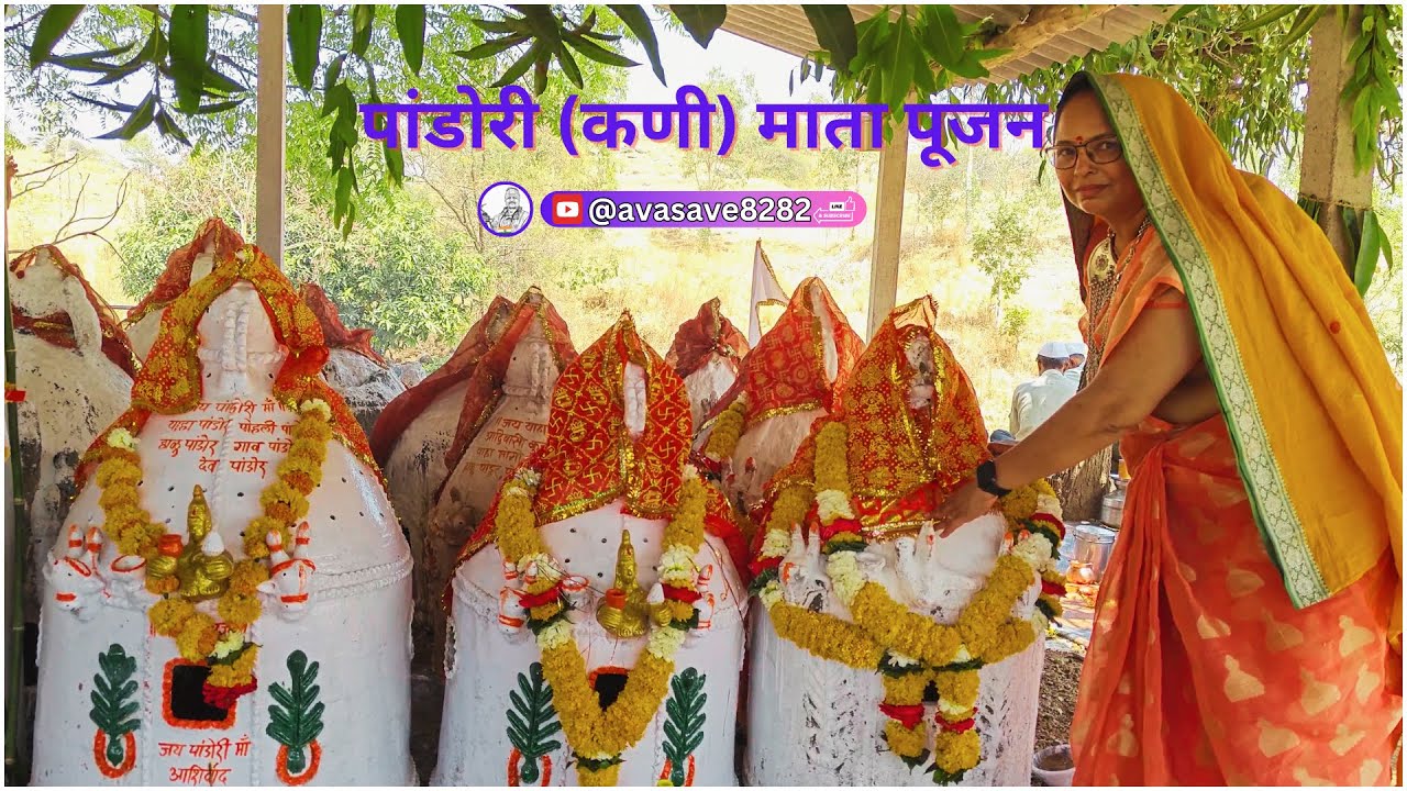 पांडोरी (कणी) माता पूजन, पाटी-बेडकी || ARVIND VASAVE | | @avasave8282 | |  #पाटीबेडकीगांव#नंदुरबार