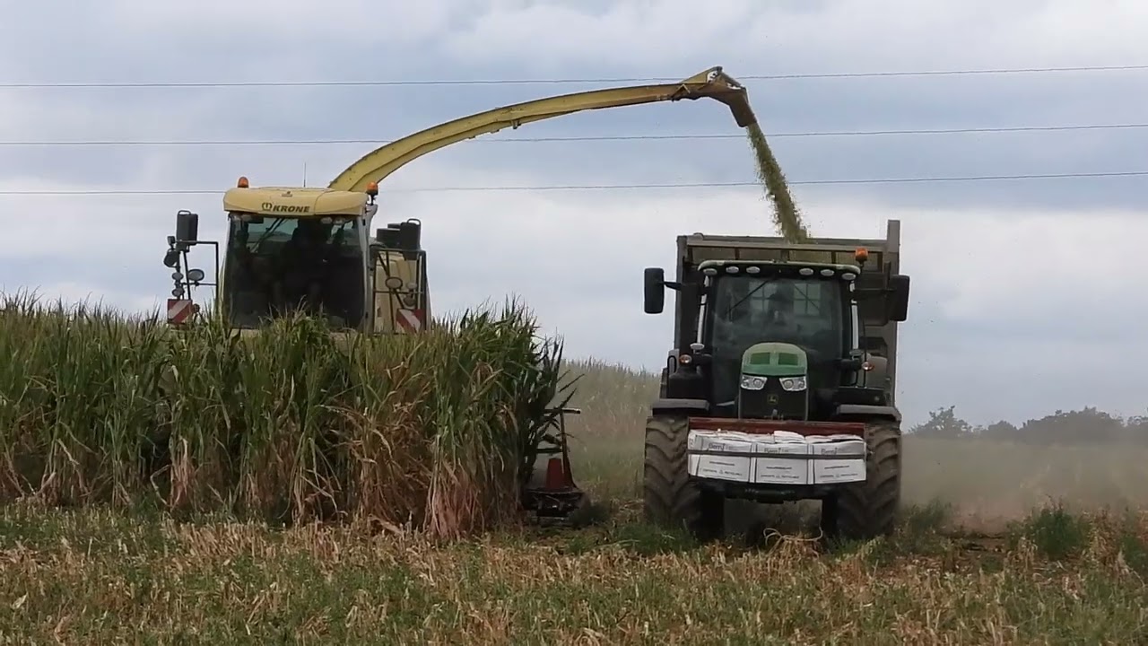 ENSILAGE MA&Iuml;S ENTREPRISE BERGERON FERME DE SAINT GERMAIN DE FRESNEY 27 EURE FRANCE 5