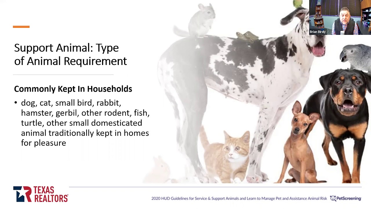 Service and Support Animals: What Property Managers Need to Know