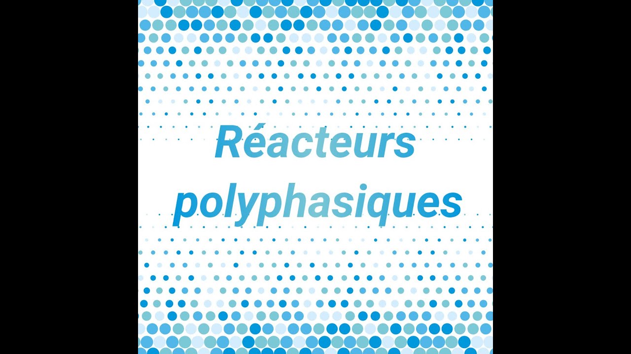 Réacteur polyphasique 2