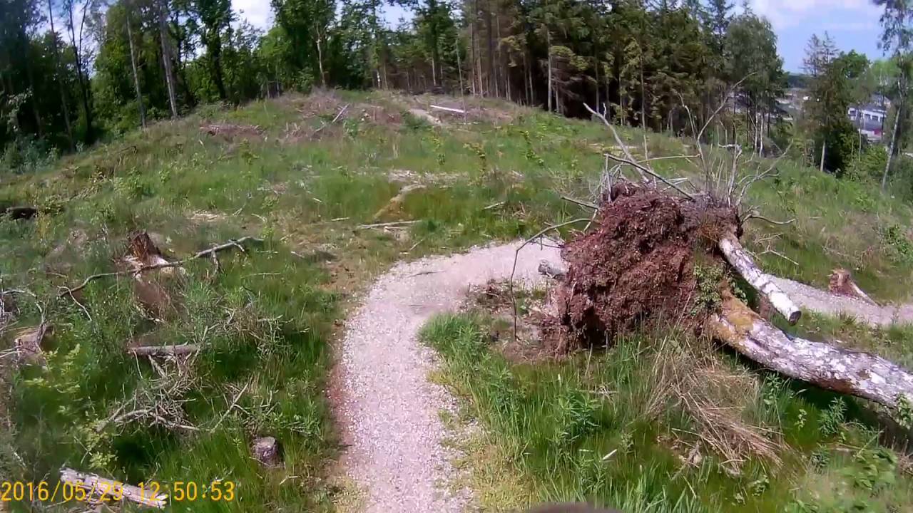 Det hvide spor / The white trail - Holstebro Denmark