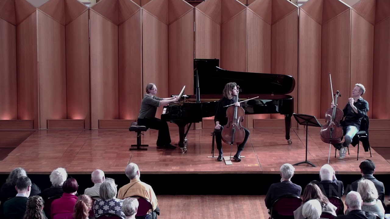 Johannes Moser Masterclass - Schumann Cello Concerto