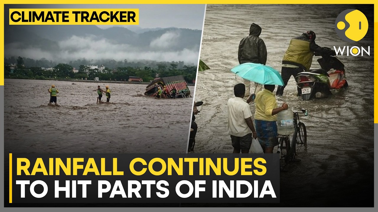 India Rains: Hill States See Temperature Drop After Days of Rainfall | WION CLIMATE TRACKER