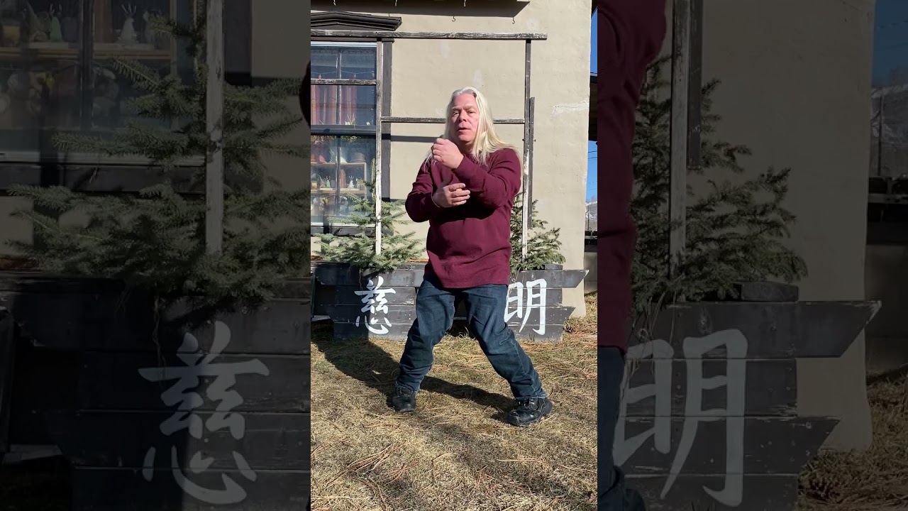 Wing Chun's Siu Nim Tao Set... Secrets of Structure