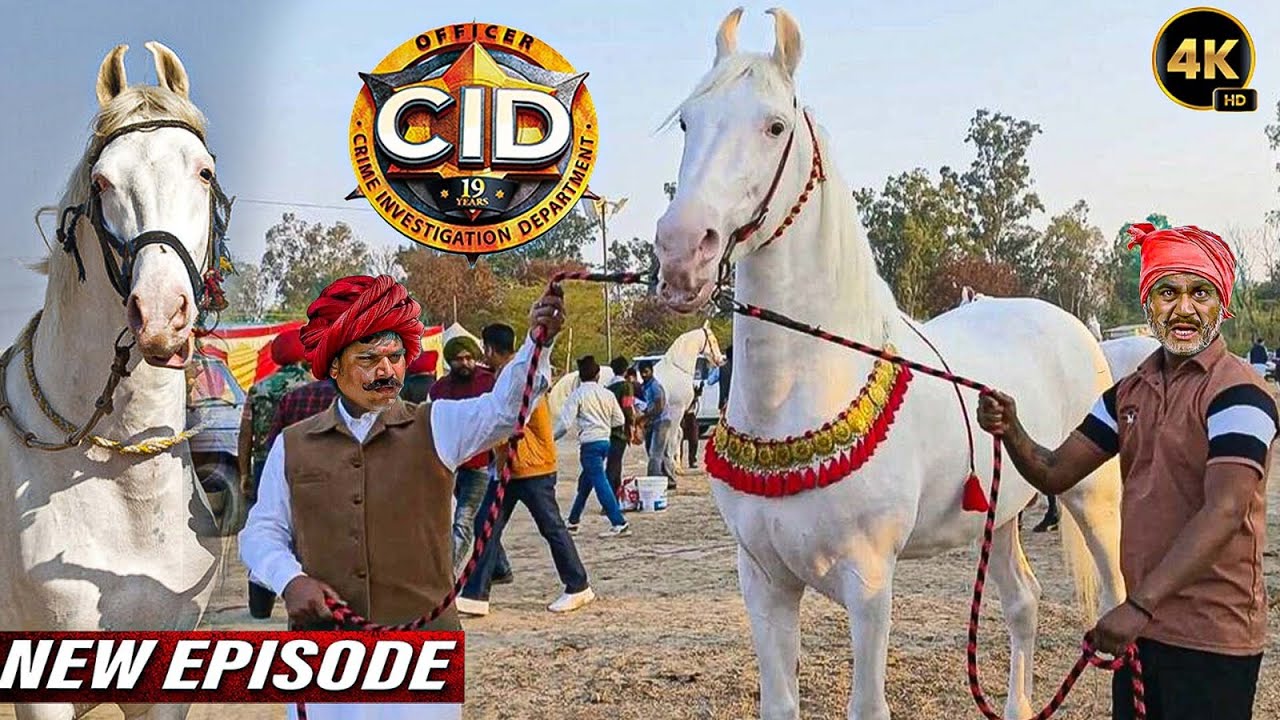 पुष्कर मेले में 15 करोड़ के घोड़े खरीदने पहुँची CID टीम | CID | New Episodes 2025