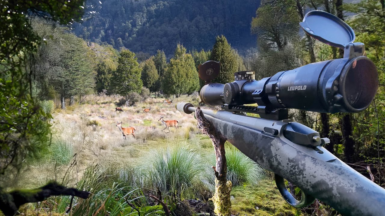 The Best Hunt of My Life! 8 Days Solo 2025