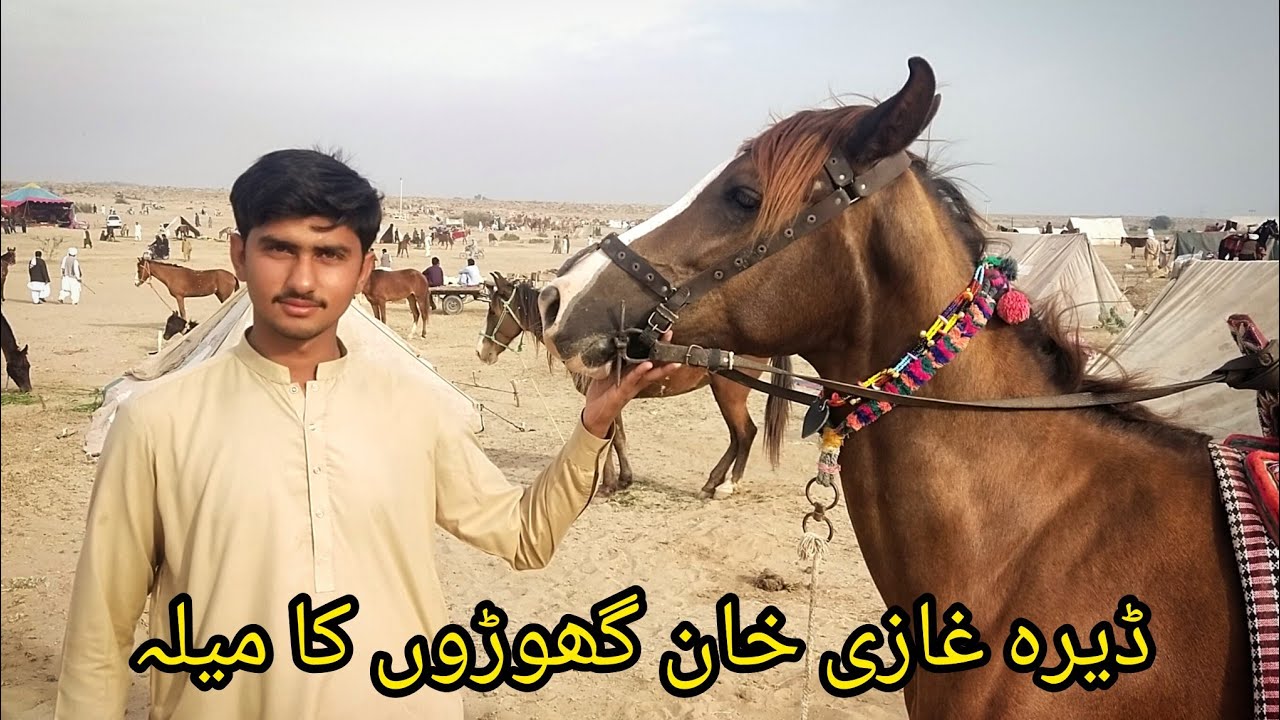 Dera ghazi khan MN mithy kho Wala galsa (mela) horses naiza baazi.