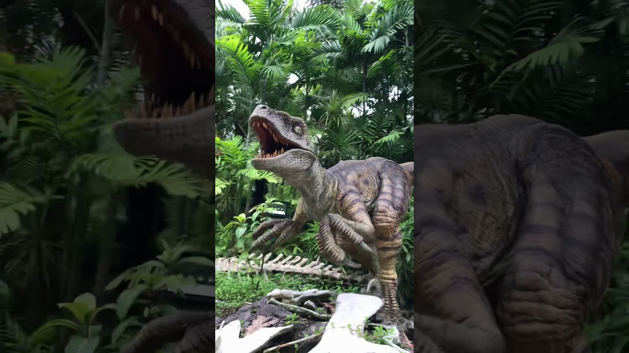 Jurassic Park Ride on Rapid Adventure | Universal Studios Singapore |