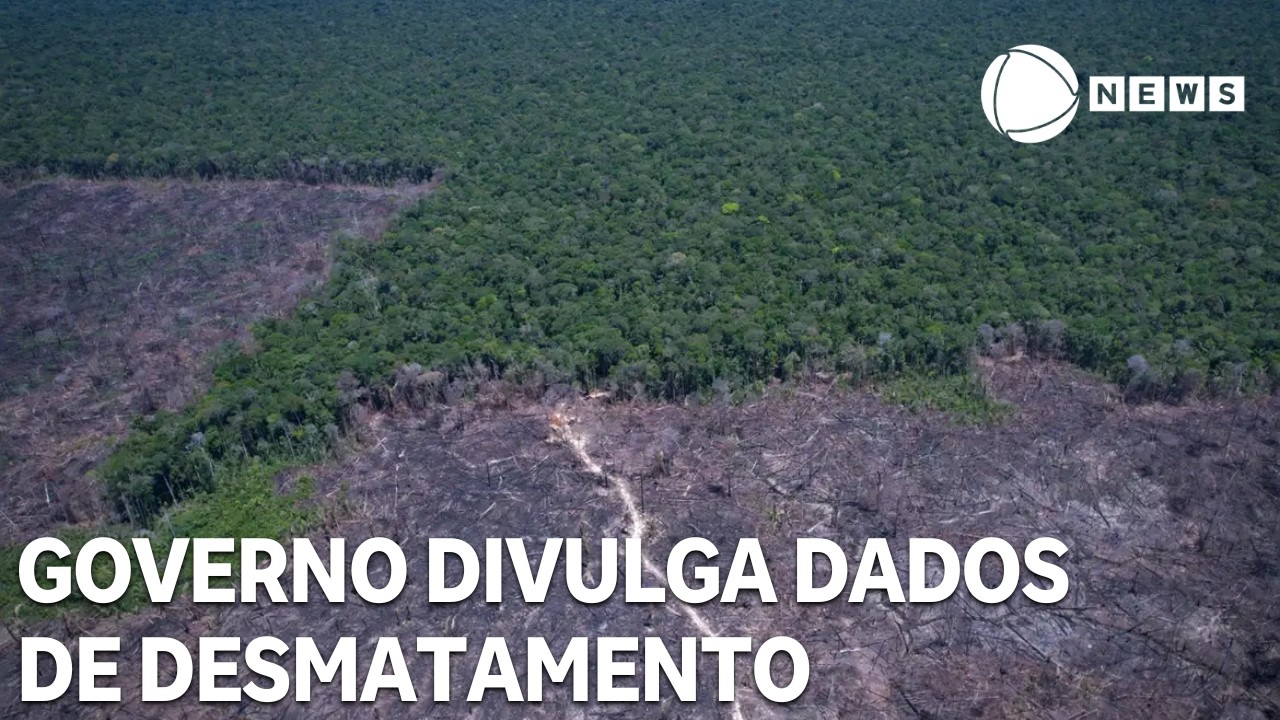 Governo divulga dados do desmatamento na Amazônia