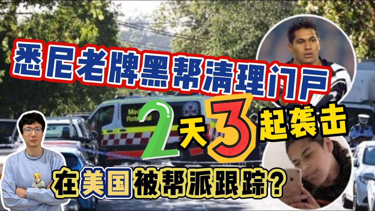 EP312 悉尼老牌黑幫清理門戶，2天3次襲擊，過程被拍視頻？在美國被黑幫跟蹤？