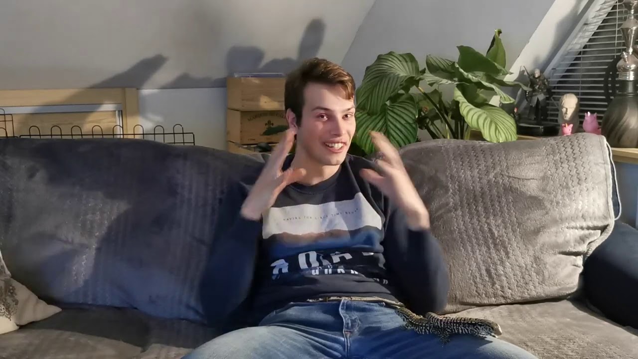 Teju/Tegu Argentínský: socializujeme prcky