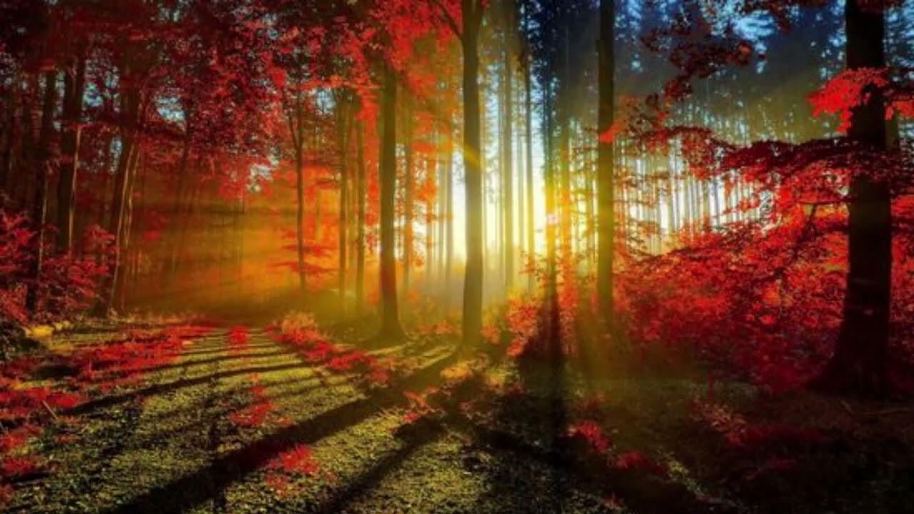 Rahatlatıcı uyku müziği / uykusuzluk stres spa ve meditasyon müziği / derin uyku ve terapi müziği