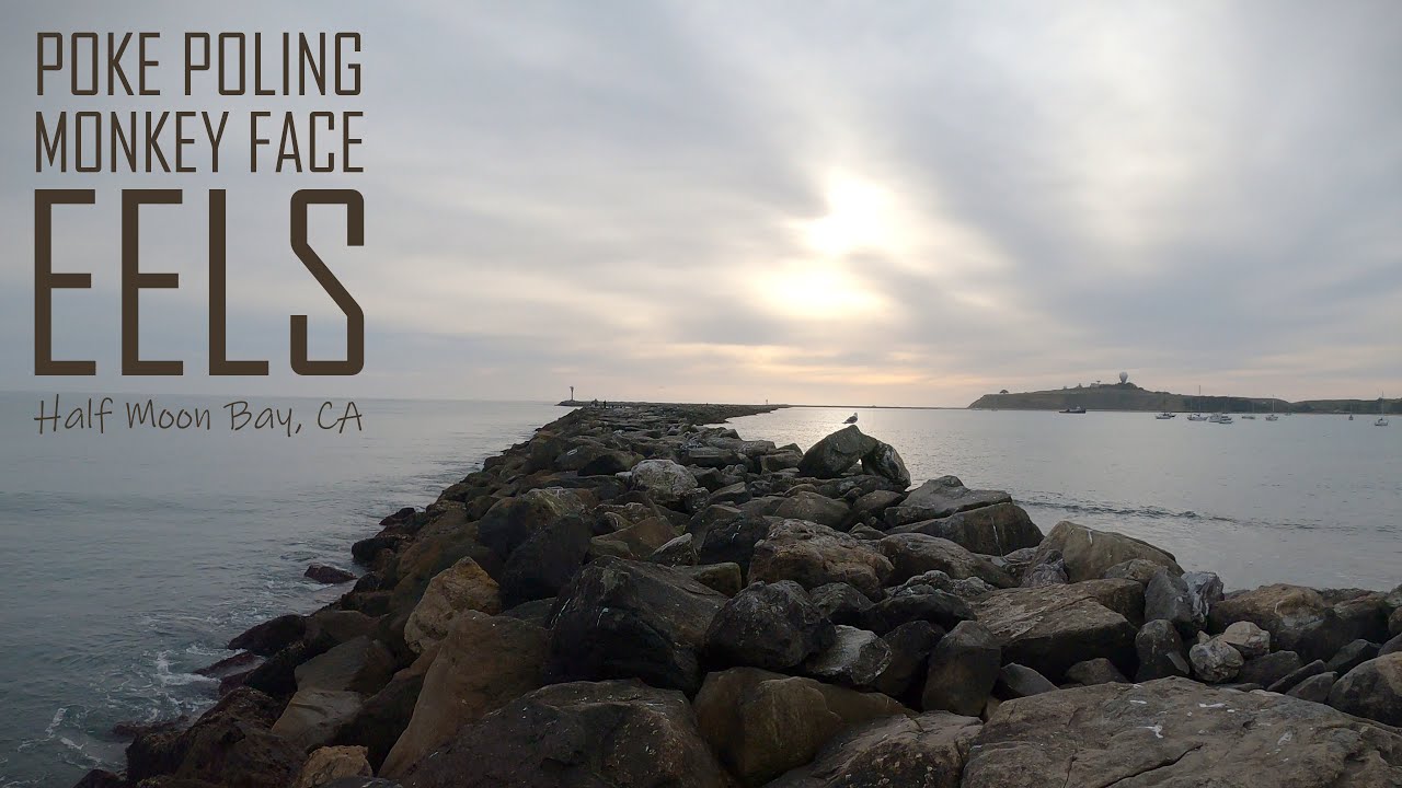 Poke Pole Fishing Monkey Face Eels At Pillar Point Harbor, Half Moon Bay CA | ITGETSREEL Episode 85