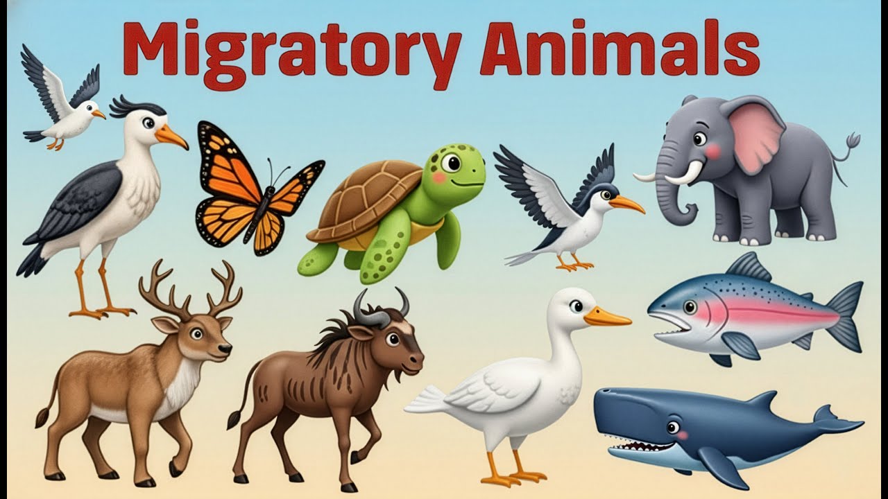 Top 10 Amazing Migratory Animals in the World ✈️ | Incredible Journeys & Facts #animalmigration