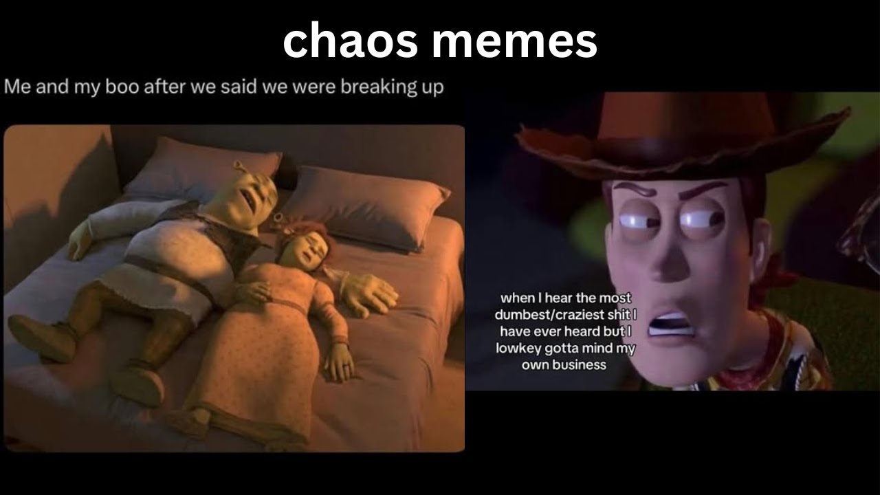 Comedy So Wrong It Somehow Feels Right[chaos memes]