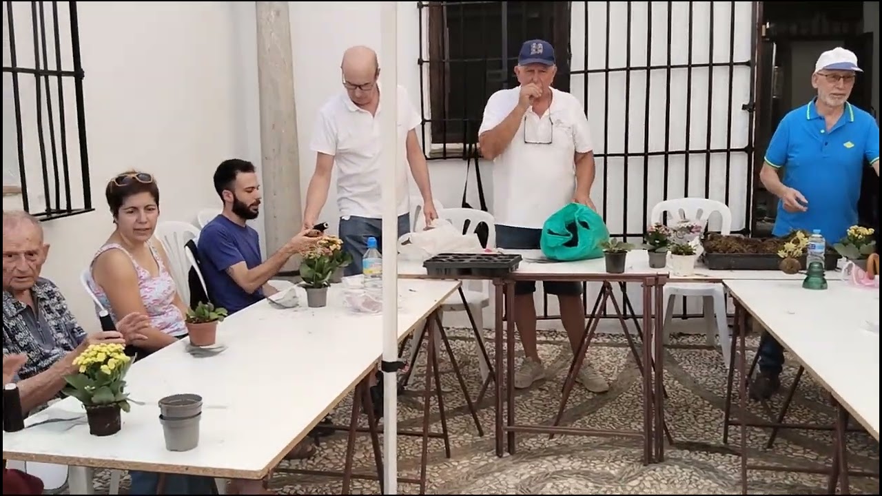 @taller de kokedama por Carmelo asociación bonsai Alhambra esto es bonsai aficionado👍🌳🔔