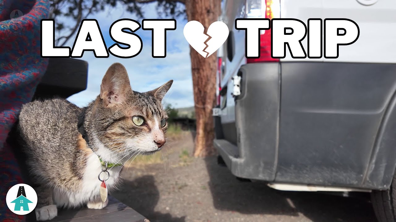 Our last camping trip with Benny | Grab the tissues