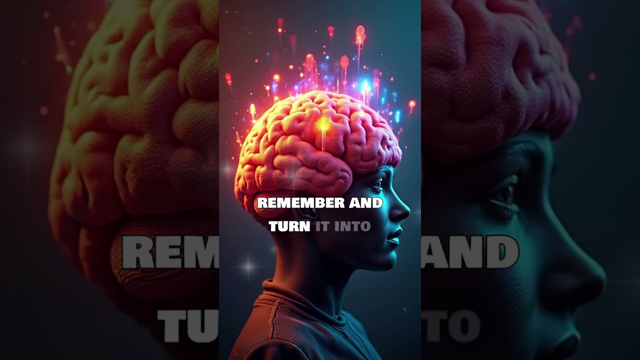 How to Remember Anything Instantly: The Memory Palace Technique Used by World Champion