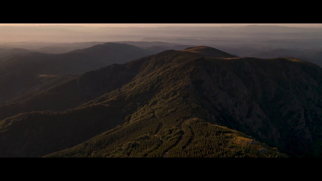 Le Mont-Aigu. La Souche (07)