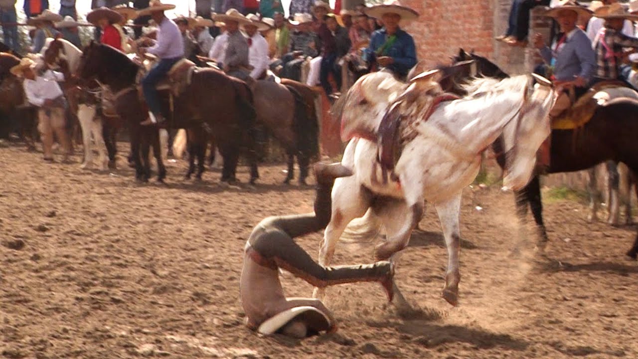 56 - Lo Mejor de los Coleaderos - Santa Maria de los Angeles, Jalisco
