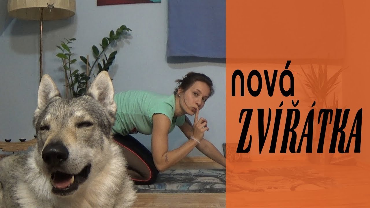 Jóga pro děti - noví zvířecí kamarádi (Jóga s Artánkem)