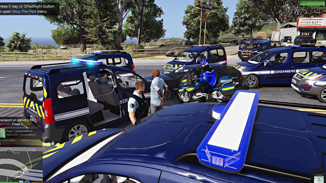 [GTA 5 LSPDFR ]⚠ GENDARMERIE  BESOIN DE RENFORTS !! ⚠