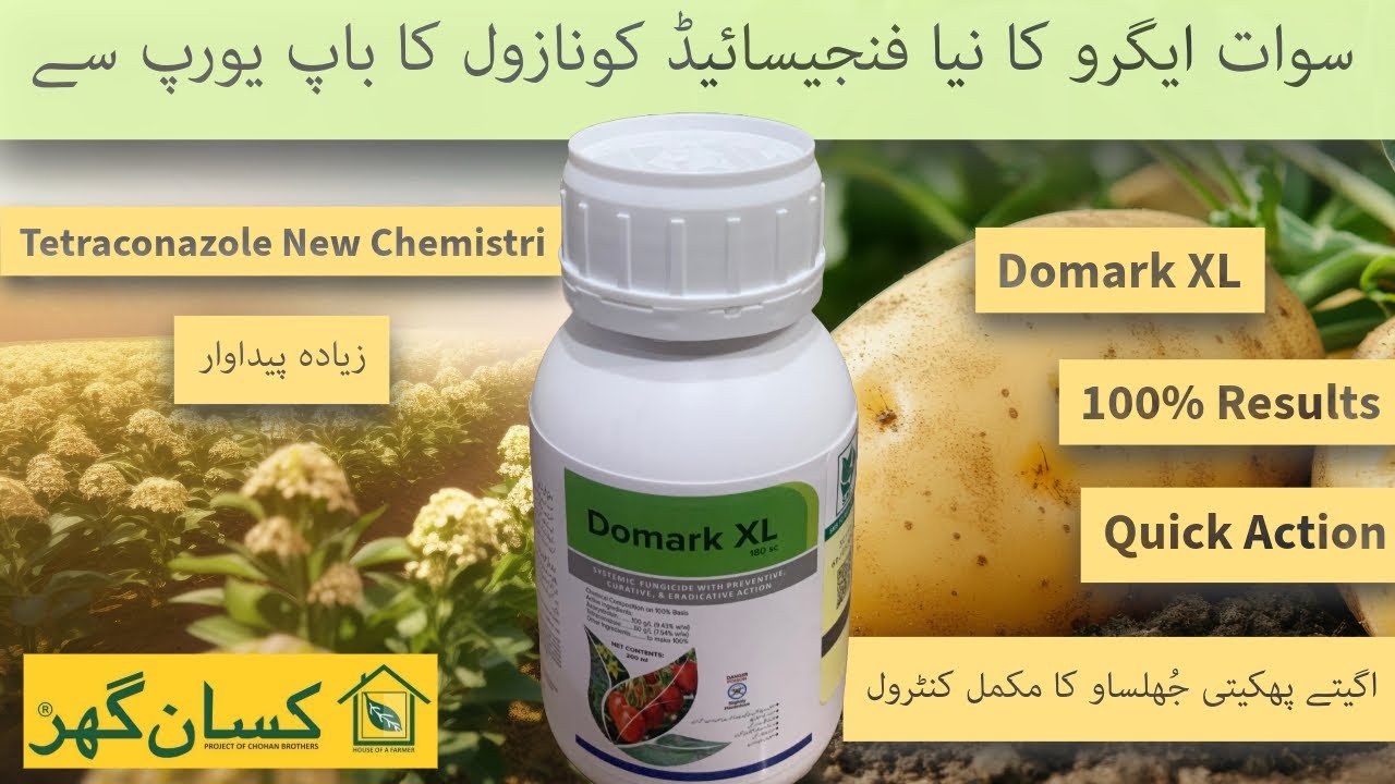 Domark XL new fungicide powerful systemic quick action | tetracinazole Europion product | swat agro