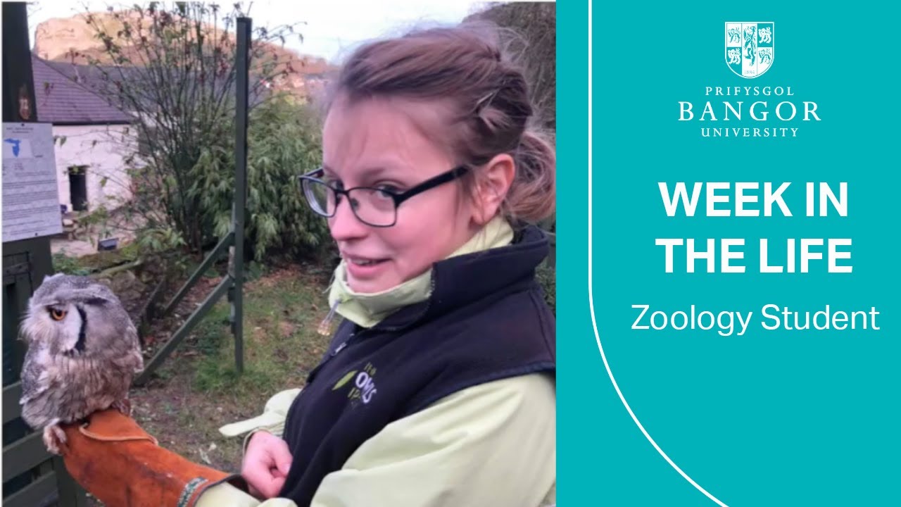 Week in the life of a Zoology student