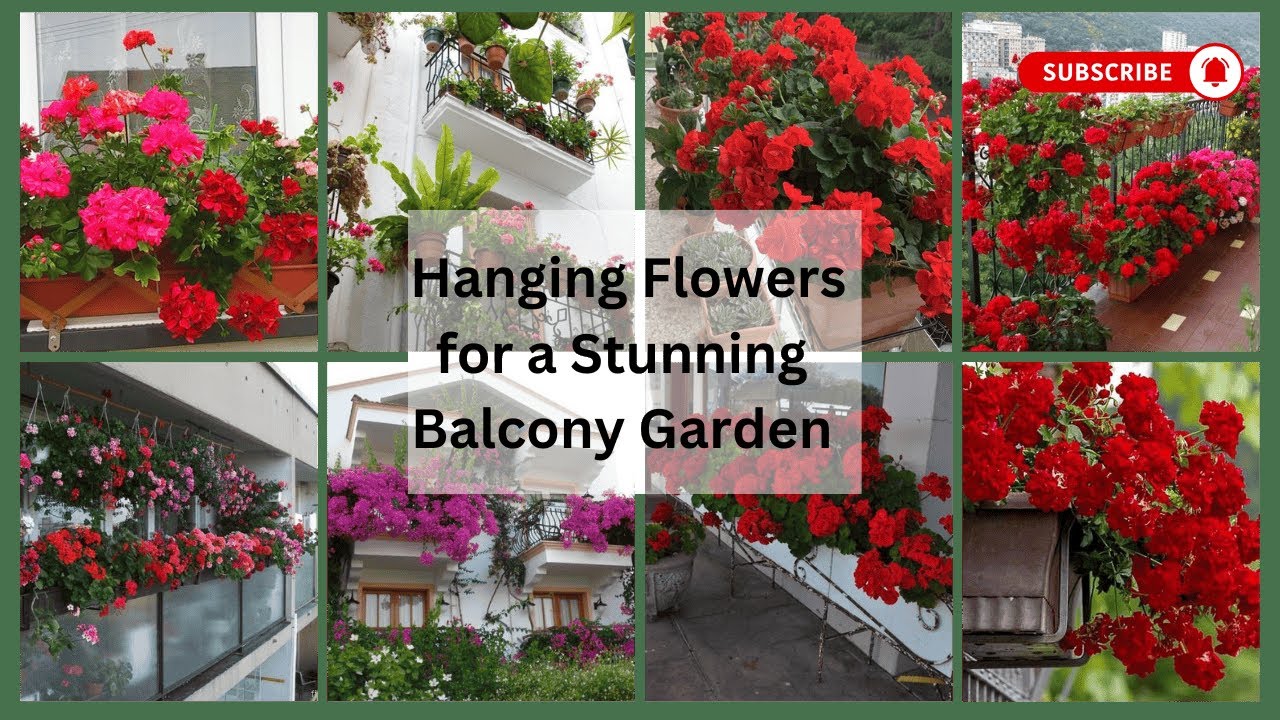 Best Hanging Flowers for a Stunning Balcony Garden | Balcony Garden Makeover | Your Home Decor