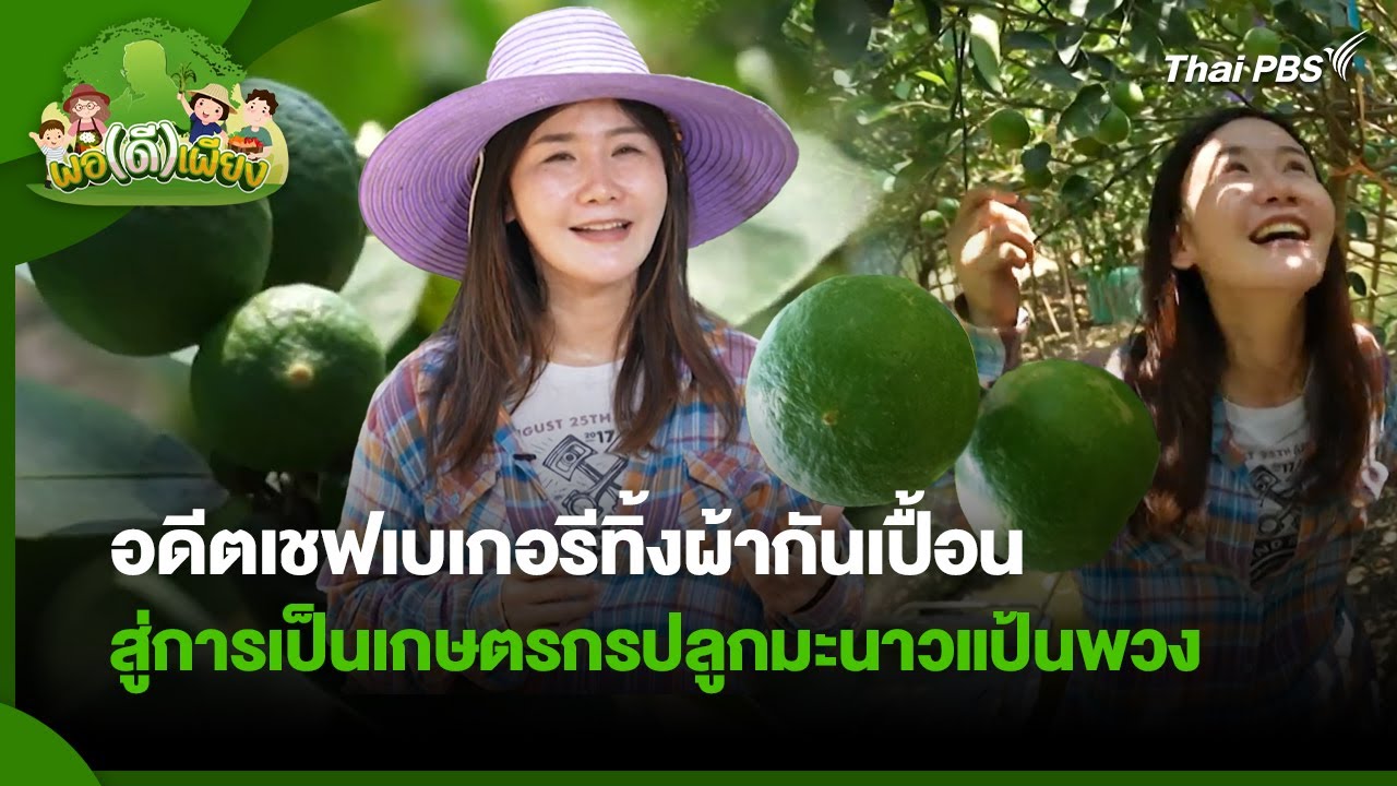 อดีตเชฟเบเกอรีทิ้งผ้ากันเปื้อน สู่การเป็นเกษตรกรปลูกมะนาวแป้นพวง | พอดีพอเพียง