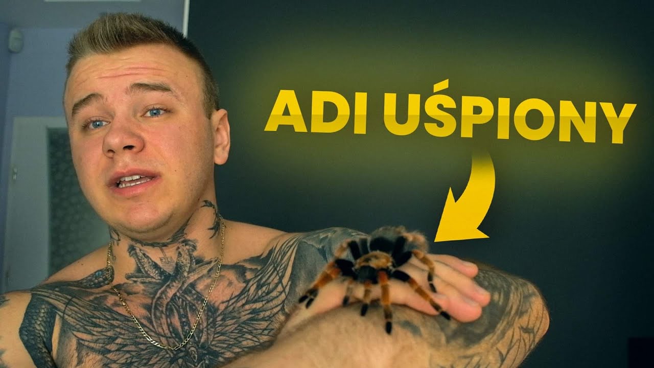 PRZEGLĄD HODOWLI