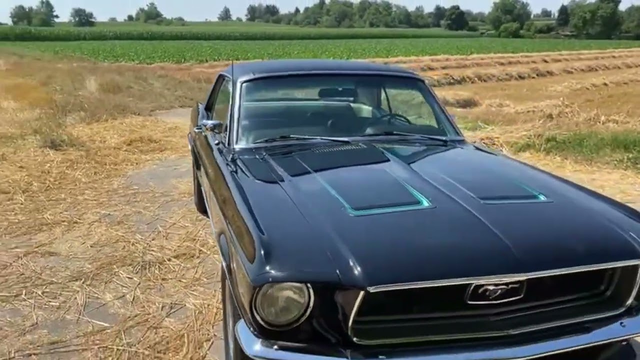 1968 Ford Mustang black Bruce V8 Old Rockets