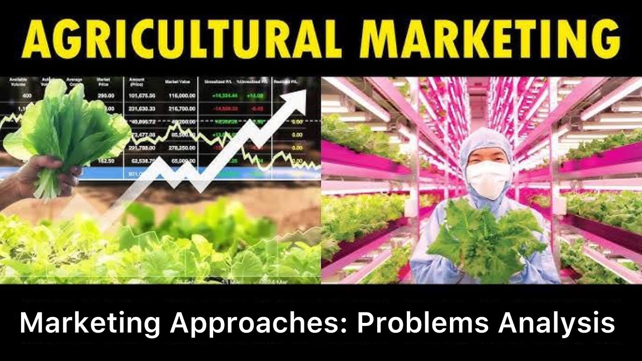 Agricultural Marketing || Approaches || Marketing Problems Study || 2025