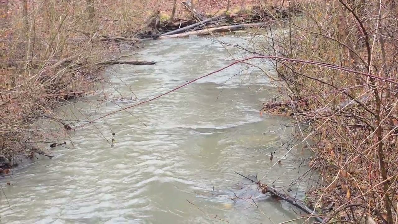NORTH CHAGRIN RESERVATION OH RAIN AND RUSHING WATER