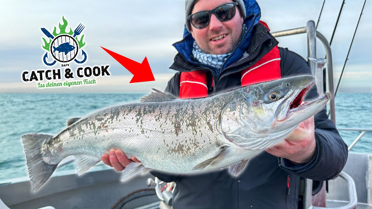 Angeln auf XXL Meerforelle mit der Spinnrute | inkl. Catch&Cook - nach Graved- und Stremelart