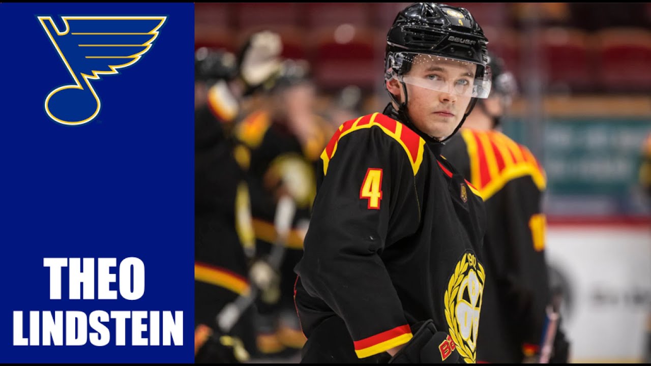 NHL Prospects : Theo Lindstein - 23-24 Highlights