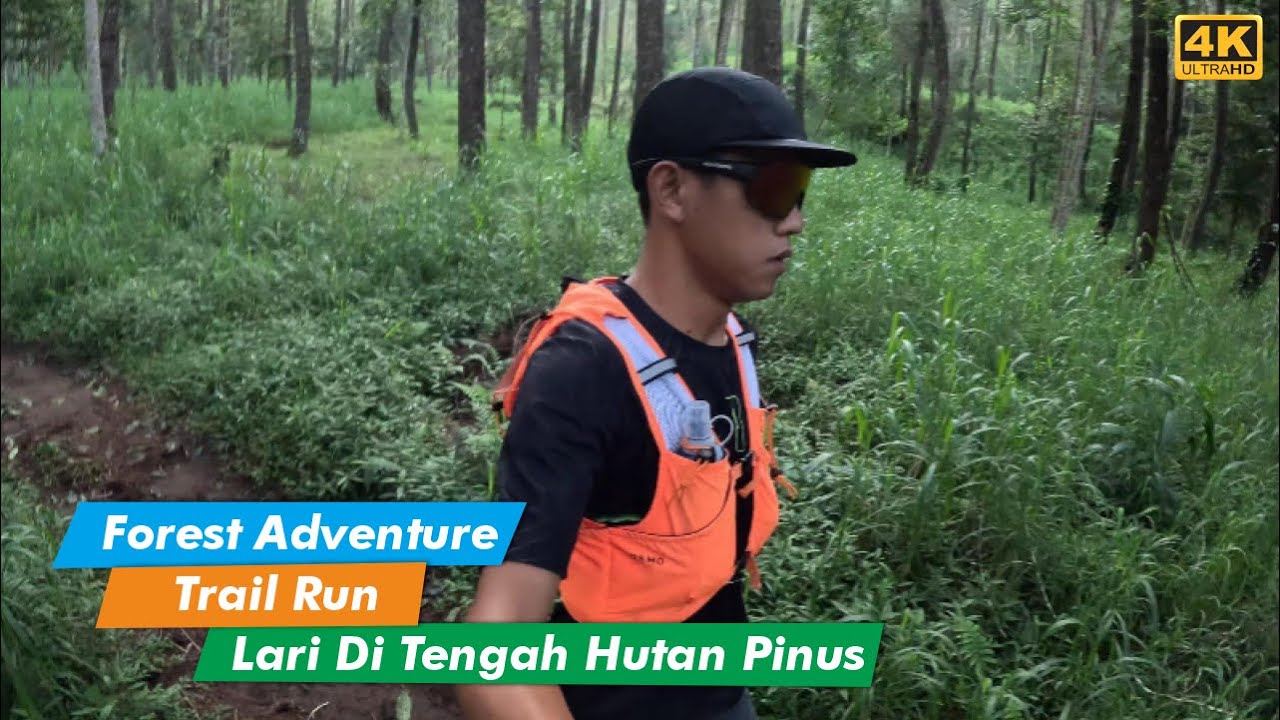 Keseruan Lari Di Tengah Hutan Pinus Gunung Lawu | Forest Adventure Trail 2025