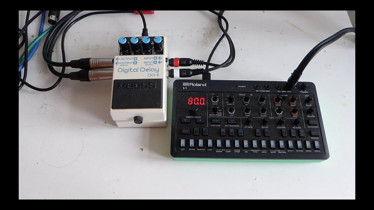 Roland Aira S1 & Boss DD-6 Digital Delay
