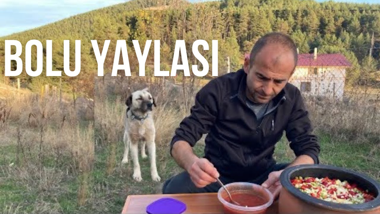 Bolu Yaylasında Odun Ateşinde ETLİ GÜVEÇ