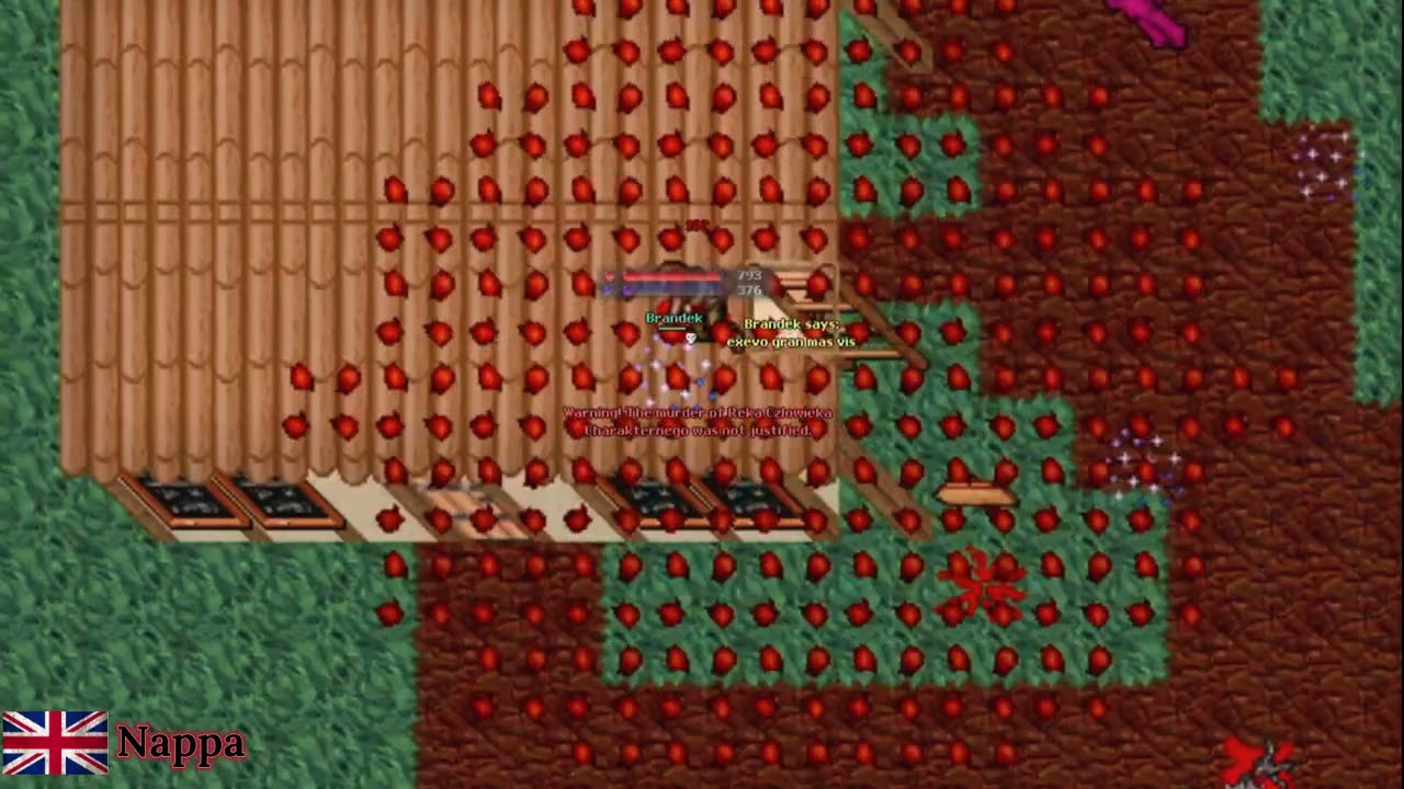 Tibiantis -  200 mage soloed  - 30 vs 6 what can go wrong?