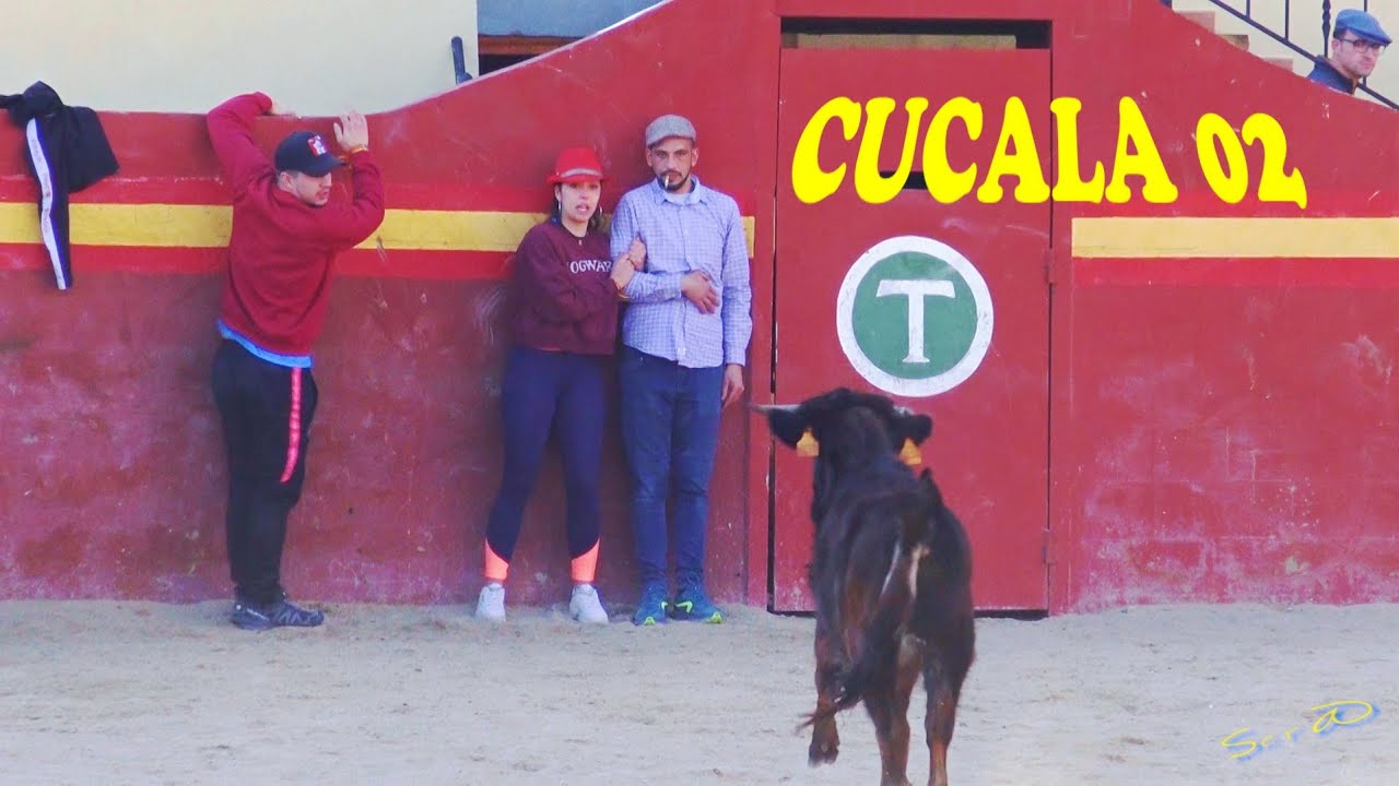 🟢2020 Alcala de Chisvert 02 ◾ INTEGRA Capea Patata